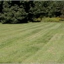 Andover Job Number One